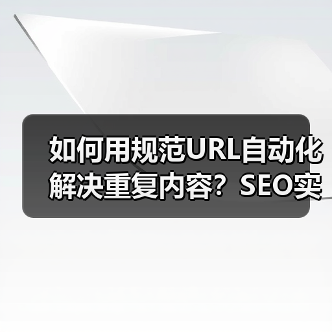 如何用规范URL自动化解决重复内容？SEO实战技巧大揭秘(图2)