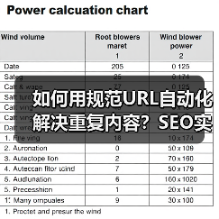 如何用规范URL自动化解决重复内容？SEO实战技巧大揭秘(图1)