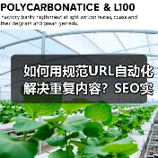 如何用规范URL自动化解决重复内容？SEO实战技巧大揭秘(图3)