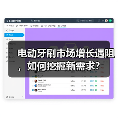 电动牙刷市场增长遇阻,如何挖掘新需求?(图2) 电动牙刷市场增长遇阻,如何挖掘新需求?(图2)