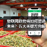 物联网趋势将如何塑造未来?五大关键方向解析(图3) 物联网趋势将如何塑造未来?五大关键方向解析(图3)