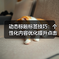 动态标题标签技巧:个性化内容优化提升点击率(图2) 动态标题标签技巧:个性化内容优化提升点击率(图2)