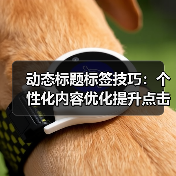 动态标题标签技巧:个性化内容优化提升点击率(图3) 动态标题标签技巧:个性化内容优化提升点击率(图3)