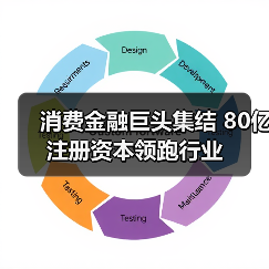 消费金融巨头集结 80亿注册资本领跑行业(图4) 消费金融巨头集结 80亿注册资本领跑行业(图4)