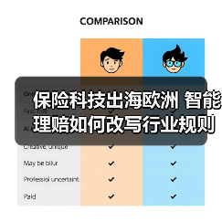 保险科技出海欧洲 智能理赔如何改写行业规则(图4) 保险科技出海欧洲 智能理赔如何改写行业规则(图4)