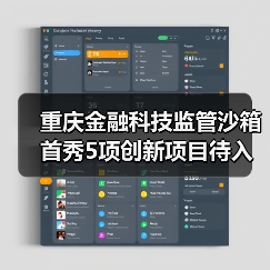 重庆金融科技监管沙箱首秀5项创新项目待入箱(图4) 重庆金融科技监管沙箱首秀5项创新项目待入箱(图4)