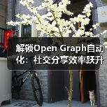 解锁Open Graph自动化：社交分享效率跃升63%的秘密(图4)