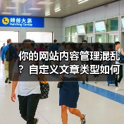 你的网站内容管理混乱?自定义文章类型如何灵活优化结构?(图2) 你的网站内容管理混乱?自定义文章类型如何灵活优化结构?(图2)