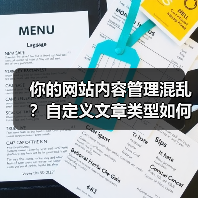 你的网站内容管理混乱?自定义文章类型如何灵活优化结构?(图4) 你的网站内容管理混乱?自定义文章类型如何灵活优化结构?(图4)