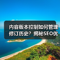 内容版本控制如何管理修订历史？揭秘SEO优化核心技巧 - 诺云路远科技资讯网