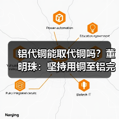 铝代铜能取代铜吗？董明珠：坚持用铜至铝完全替代(图1)