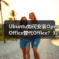 Ubuntu如何安装OpenOffice替代Office？32/64位详细步骤(图4)