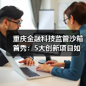 重庆金融科技监管沙箱首秀:5大创新项目如何赋能实体?(图2) 重庆金融科技监管沙箱首秀:5大创新项目如何赋能实体?(图2)
