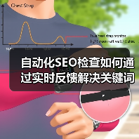 自动化SEO检查如何通过实时反馈解决关键词排名难题？(图4)