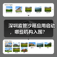 深圳监管沙箱应用启动,哪些机构入围?(图2) 深圳监管沙箱应用启动,哪些机构入围?(图2)
