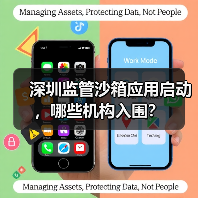 深圳监管沙箱应用启动,哪些机构入围?(图3) 深圳监管沙箱应用启动,哪些机构入围?(图3)
