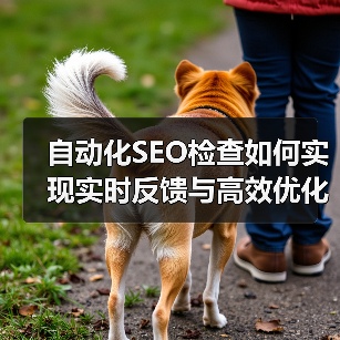 自动化SEO检查如何实现实时反馈与高效优化？(图2)