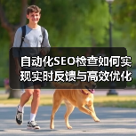 自动化SEO检查如何实现实时反馈与高效优化？(图4)