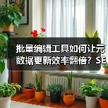批量编辑工具如何让元数据更新效率翻倍？SEO优化效率提升全攻略(图2)