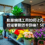 批量编辑工具如何让元数据更新效率翻倍？SEO优化效率提升全攻略(图3)