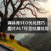 媒体库SEO优化技巧:图片ALT标签批量处理提升排名(图3) 媒体库SEO优化技巧:图片ALT标签批量处理提升排名(图3)