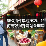 SEO插件集成技巧：如何高效提升网站关键词排名 - 诺云路远科技资讯网