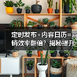 定时发布+内容日历=营销效率翻倍?揭秘提升转化率的高效运营策略(图2) 定时发布+内容日历=营销效率翻倍?揭秘提升转化率的高效运营策略(图2)