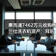 惠而浦7462万元收购格兰仕洗衣机资产:背后动因解析(图3) 惠而浦7462万元收购格兰仕洗衣机资产:背后动因解析(图3)