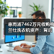 惠而浦7462万元收购格兰仕洗衣机资产:背后动因解析(图4) 惠而浦7462万元收购格兰仕洗衣机资产:背后动因解析(图4)