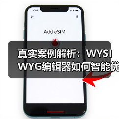 真实案例解析：WYSIWYG编辑器如何智能优化SEO实现内容爆发？(图2)