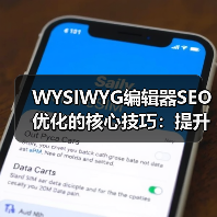 WYSIWYG编辑器SEO优化的核心技巧：提升排名的实战秘诀 - 诺云路远科技资讯网