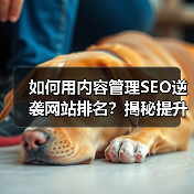 如何用内容管理SEO逆袭网站排名？揭秘提升搜索可见性的关键策略 - 诺云路远科技资讯网