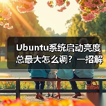 Ubuntu系统启动亮度总最大怎么调?一招解决(图4) Ubuntu系统启动亮度总最大怎么调?一招解决(图4)