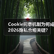 Cookie同意机制为何成2026隐私合规关键？(图4)