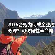 ADA合规为何成企业必修课？可访问性革命如何撬动利润(图3)