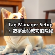 Tag Manager Setup：数字营销成功的隐秘武器？(图3)