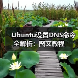 Ubuntu设置DNS命令全解析:图文教程(图2) Ubuntu设置DNS命令全解析:图文教程(图2)