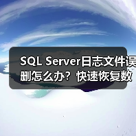 SQL Server日志文件误删怎么办?快速恢复数据库方法(图3) SQL Server日志文件误删怎么办?快速恢复数据库方法(图3)