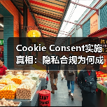 Cookie Consent实施真相：隐私合规为何成刚需？(图2)