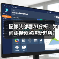 摄像头部署AI分析:为何成视频监控新趋势?实时性与成本优势解析(图3) 摄像头部署AI分析:为何成视频监控新趋势?实时性与成本优势解析(图3)