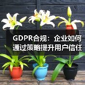 GDPR合规：企业如何通过策略提升用户信任(图2)