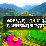 GDPR合规：企业如何通过策略提升用户信任 - 诺云路远科技资讯网