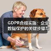 GDPR合规实施：企业数据保护的关键步骤与实战技巧 - 诺云路远科技资讯网