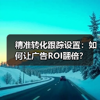 精准转化跟踪设置：如何让广告ROI翻倍？(图2)
