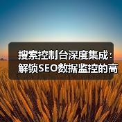 搜索控制台深度集成:解锁SEO数据监控的高效方法(图4) 搜索控制台深度集成:解锁SEO数据监控的高效方法(图4)