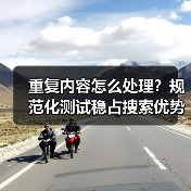 重复内容怎么处理?规范化测试稳占搜索优势(图4) 重复内容怎么处理?规范化测试稳占搜索优势(图4)