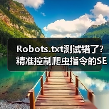 Robots.txt测试错了?精准控制爬虫指令的SEO秘诀(图4) Robots.txt测试错了?精准控制爬虫指令的SEO秘诀(图4)