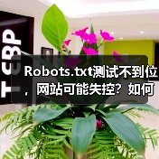 Robots.txt测试不到位,网站可能失控?如何精准掌控爬虫行为(图2) Robots.txt测试不到位,网站可能失控?如何精准掌控爬虫行为(图2)