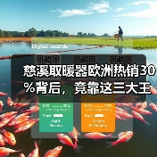 慈溪取暖器欧洲热销30%背后，竟靠这三大王牌策略(图4)