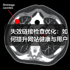 失效链接检查优化：如何提升网站健康与用户引导效果(图2)